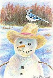 Bluejay On A Snowman