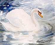 Swan